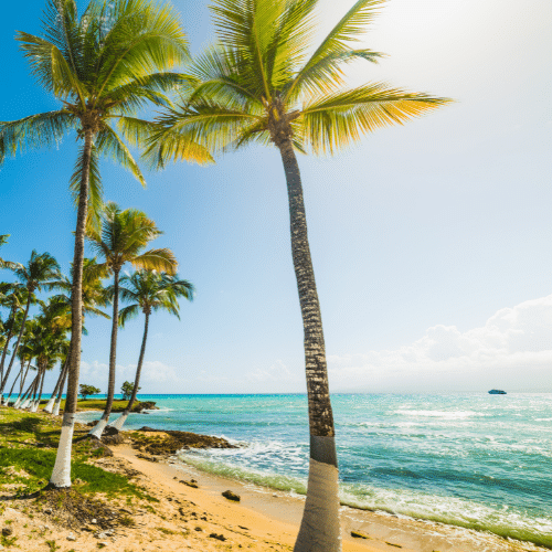 Pourquoi choisir l'expatriation en Outre-Mer ?