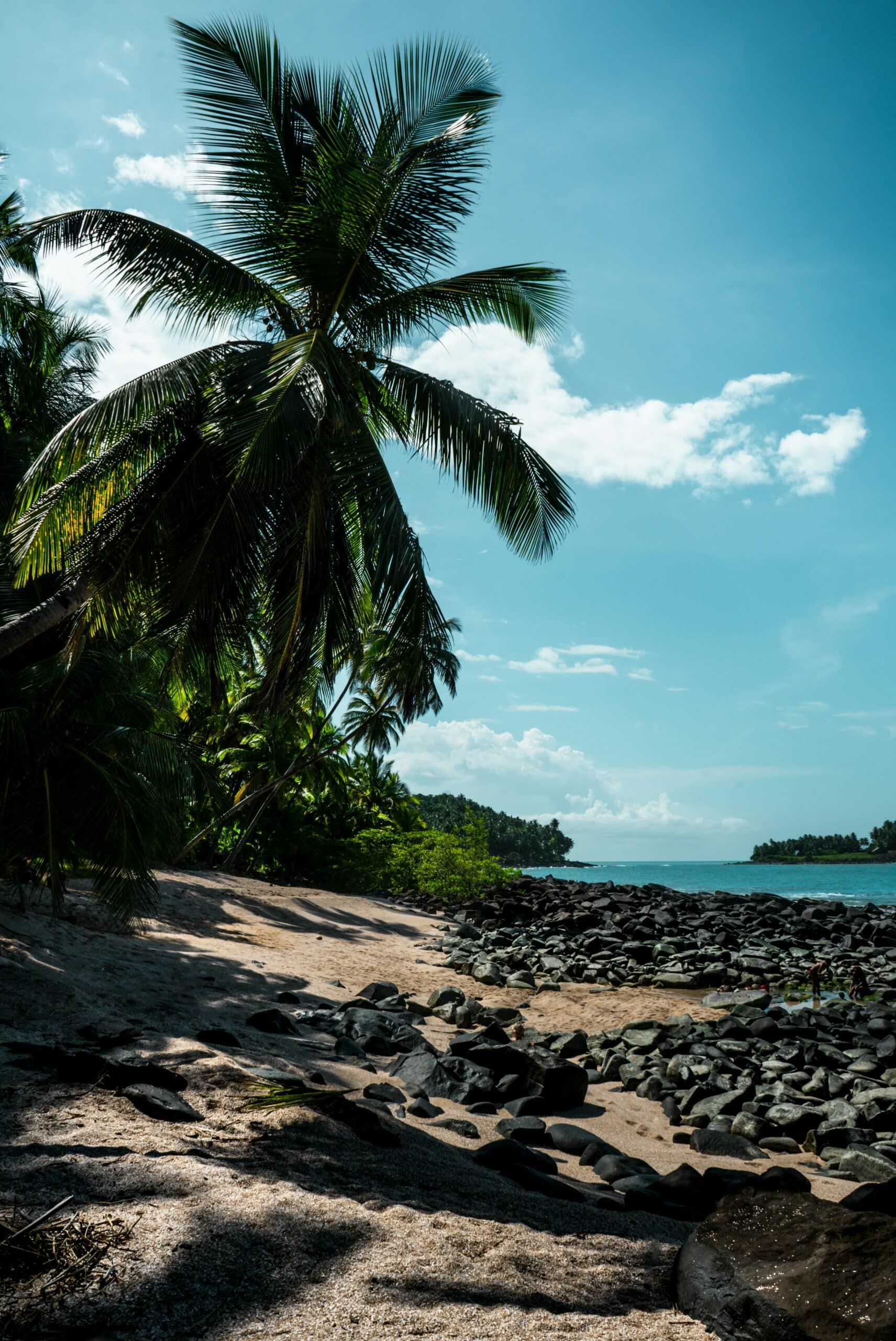recrutement-guyane-métiers
