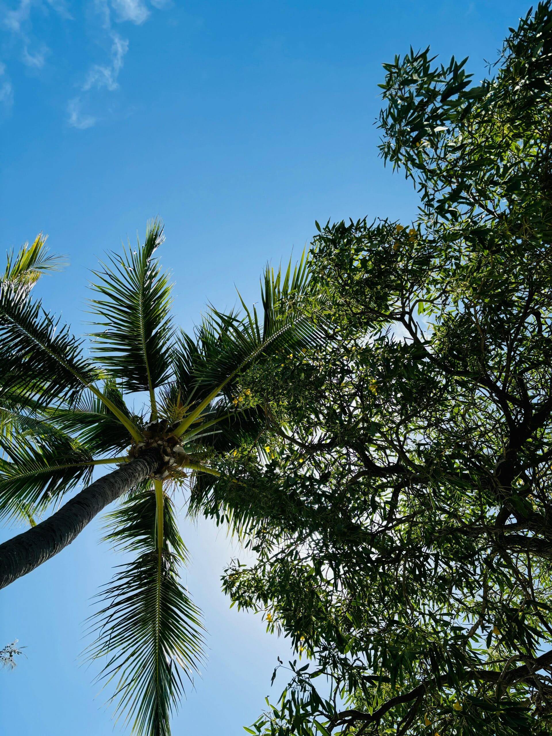 recrutement-nouvelle-caledonie-metiers