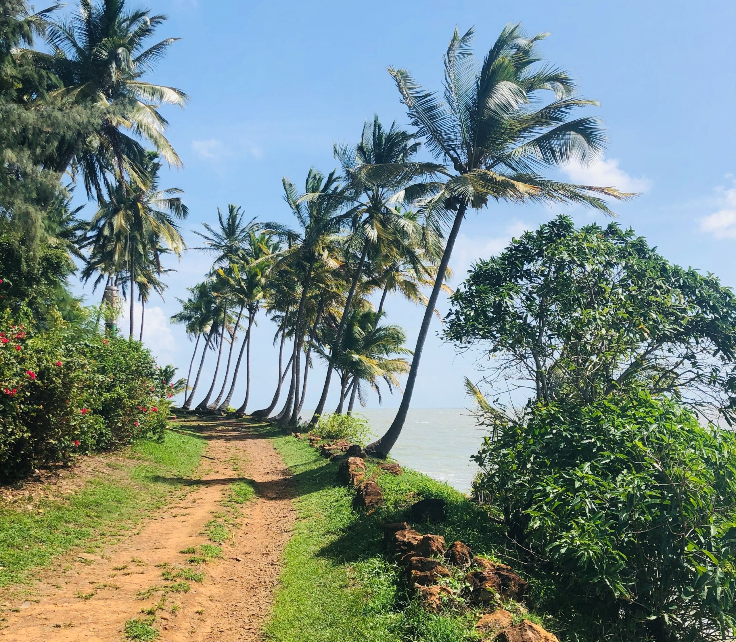 Recrutement-guyane