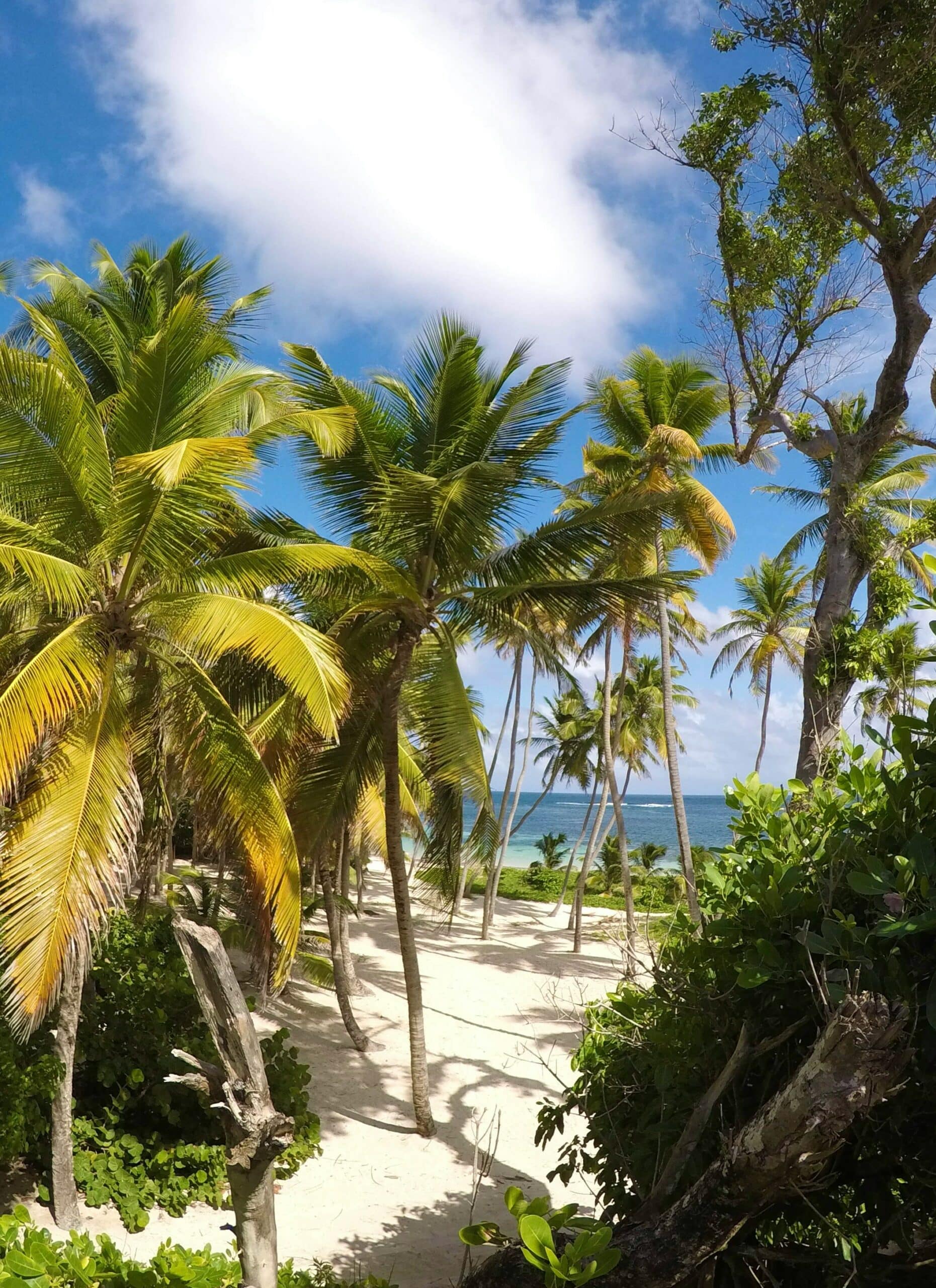 Recrutement-martinique-métiers